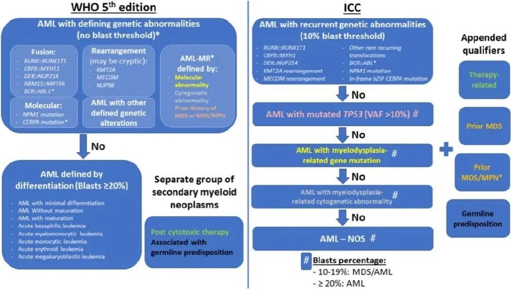 详细信息在图片之后的标题中