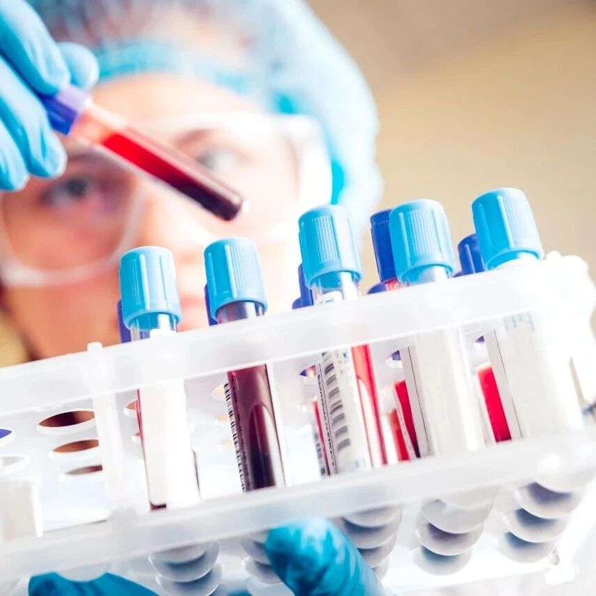 WFH 2026将启：摘要提交通道关闭提醒与会议亮点前瞻'