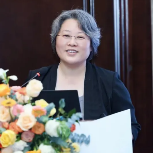 宋玉琴教授：深耕学术·赋能临床·链接全球——CSCO淋巴瘤专家工作委员会2025年度总结与2026年工作计划'